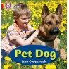 9780007507948 Pet Dog | Collins Big Cat Phonics Practice
