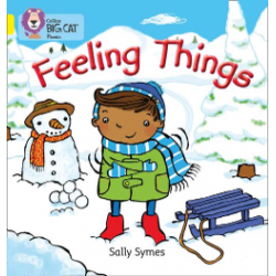 9780007507795 Feeling Things | Collins Big Cat Phonics Practice