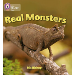 9780007235988 Real Monsters | Collins Big Cat Phonics Practice