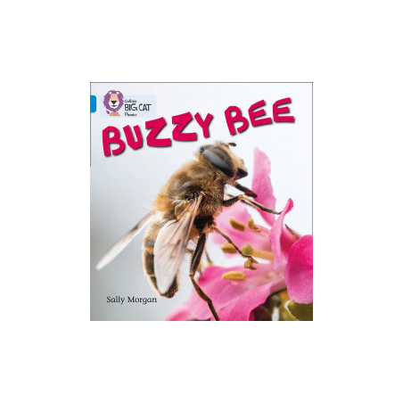 9780007507856 Buzzy Bees | Collins Big Cat Phonics Practice