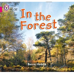 9780007412822 In the Forest | Collins Big Cat Independent, guided reading