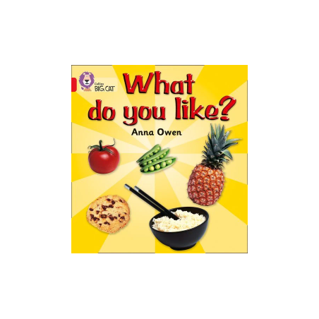9780007185641 What Do You Like? | Collins Big Cat Independent, guided reading
