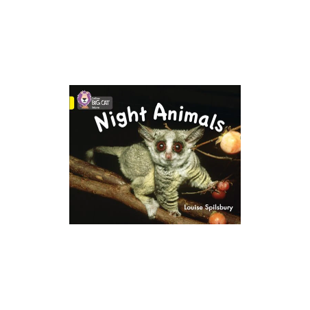 9780007412952 Night Animals | Collins Big Cat Independent, guided reading