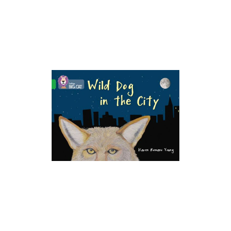 9780007539772 Wild Dog In The City | Collins Big Cat Independent, guided reading