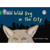 9780007539772 Wild Dog In The City | Collins Big Cat Independent, guided reading