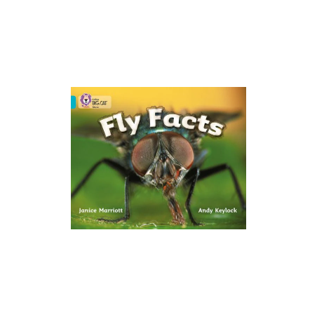 9780007186082 Fly Facts | Collins Big Cat Independent, guided reading
