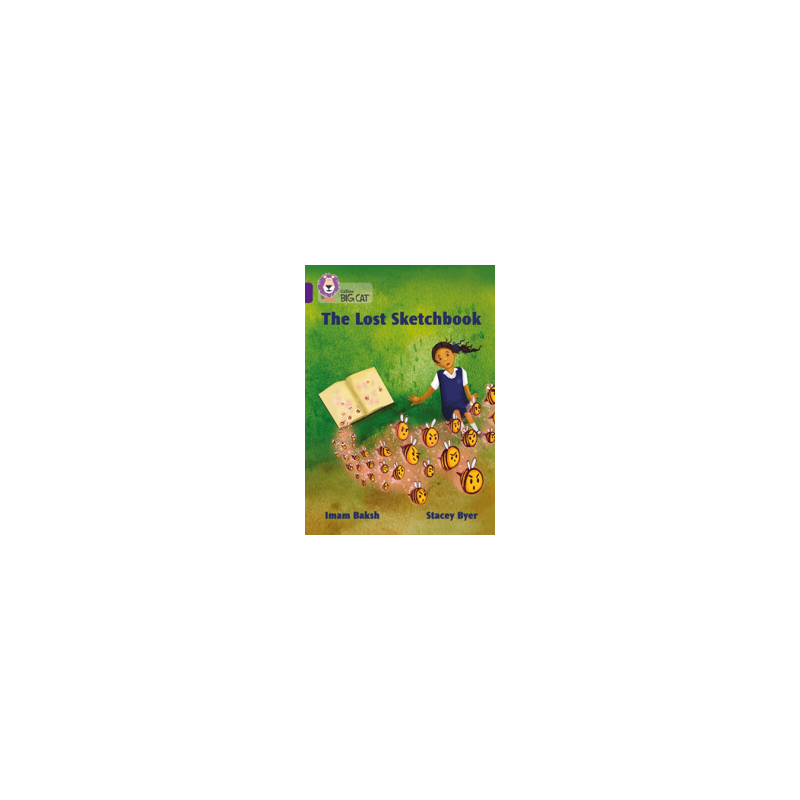 9780008413842 The Lost Sketch Book | Collins Big Cat Independent, guided reading