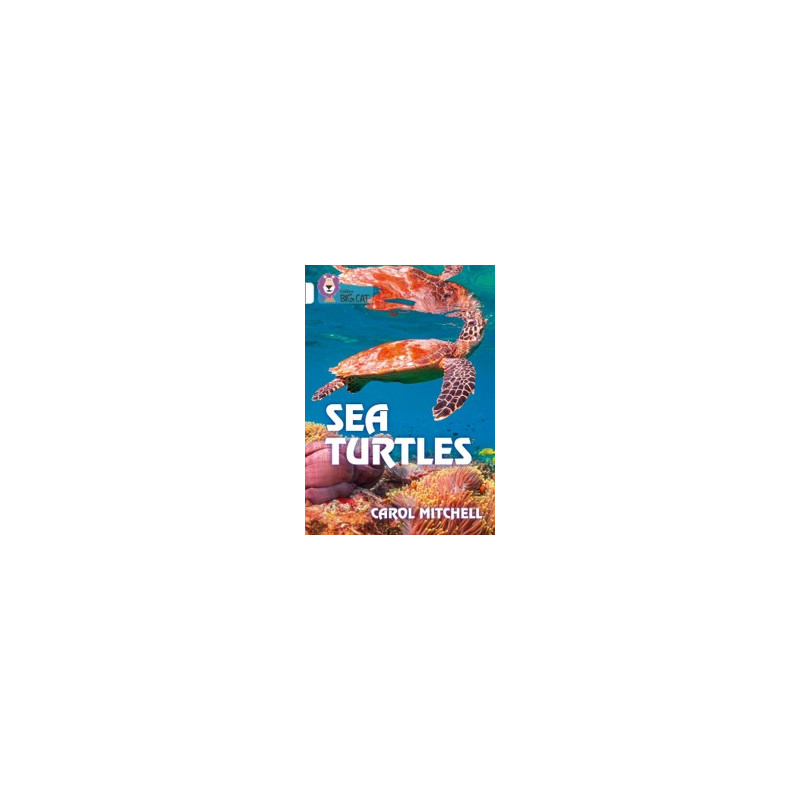 9780008432201 Sea Turtles | Collins Big Cat Independent, guided reading