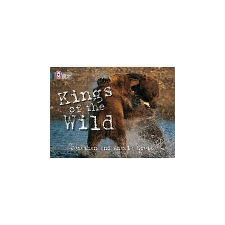 9780007230853 Kings of the Wild | Collins Big Cat Independent, guided reading