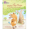 9780008127831 The Hairy Flip-Flops and other Fulani Folk Tales | Collins Big Cat