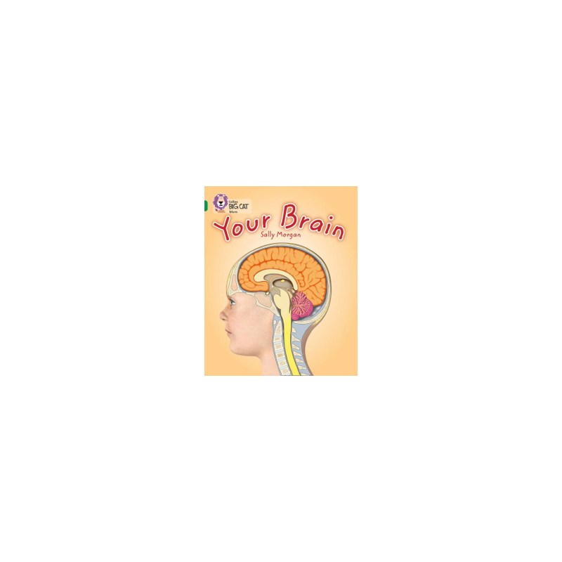 9780007465453 Your Brain | Collins Big Cat Independent, guided reading
