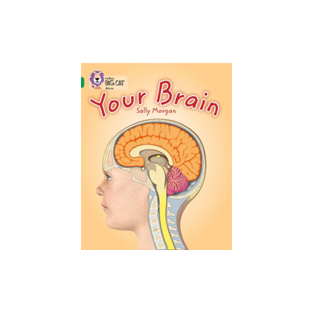 9780007465453 Your Brain | Collins Big Cat Independent, guided reading