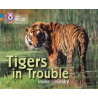 9780007428809 Tigers in Trouble | Collins Big Cat Progress