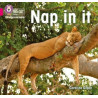 9780008442071 Nap in It | Collins Big Cat Phonics for Letters and Sounds