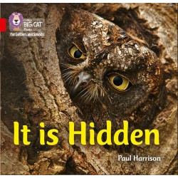 9780008251512 It is Hidden | Collins Big Cat Phonics for Letters and Sounds