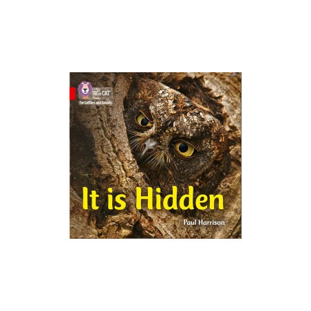 9780008251512 It is Hidden | Collins Big Cat Phonics for Letters and Sounds