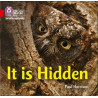 9780008251512 It is Hidden | Collins Big Cat Phonics for Letters and Sounds