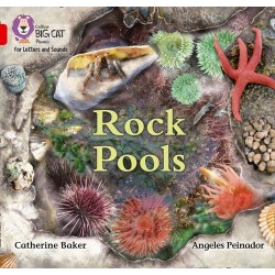 9780008357702 Rock Pools | Collins Big Cat Phonics for Letters and Sounds