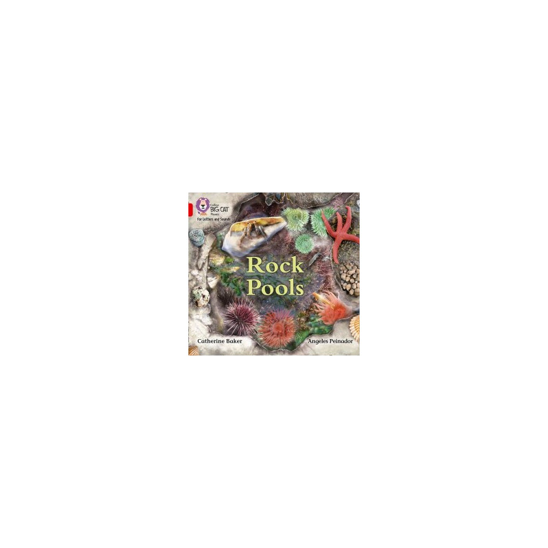 9780008357702 Rock Pools | Collins Big Cat Phonics for Letters and Sounds
