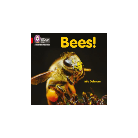 9780008442217 Bees! | Collins Big Cat Phonics for Letters and Sounds