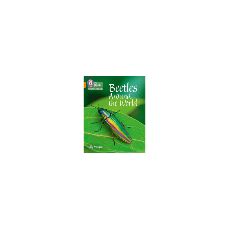 9780008251703 Beetles Around the World | Collins Big Cat Phonics for Letters and Sounds
