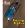 9780008442415 Amazing Raptors | Collins Big Cat Phonics for Letters and Sounds