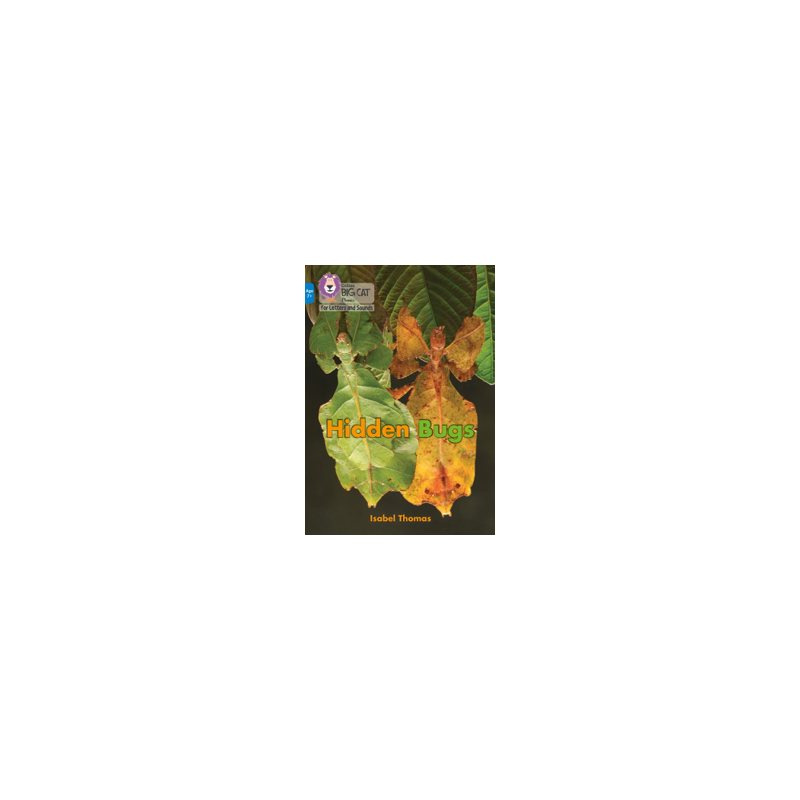 9780008446376 Hidden Bugs | Collins Big Cat Phonics for Letters and Sounds Age 7+