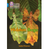 9780008446376 Hidden Bugs | Collins Big Cat Phonics for Letters and Sounds Age 7+