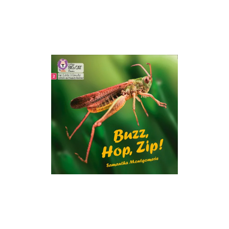 9780008502478 Buzz, Hop, Zip! | Little Wandle Letters and Sounds (Revised)