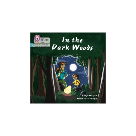 9780008504199 In the Dark Woods | Little Wandle Letters and Sounds (Revised)