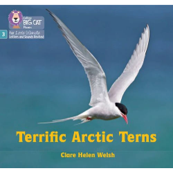 9780008540746 Terrific Arctic Terns | Little Wandle Letters and Sounds (Revised)
