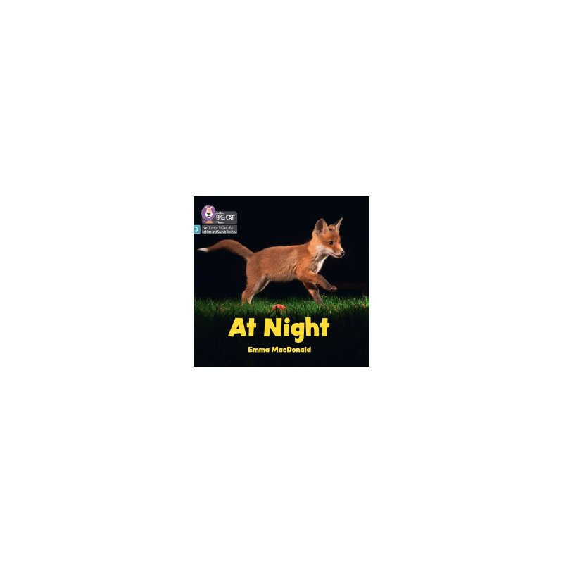 9780008668334 At Night | Little Wandle Letters and Sounds (Revised)