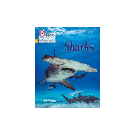 9780008504625 Sharks | Little Wandle Letters and Sounds (Revised)