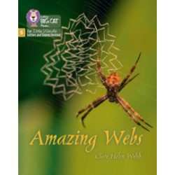 9780008539580 Amazing Webs | Little Wandle Letters and Sounds (Revised)