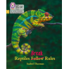 9780008505936 Reptiles Break Rules | Little Wandle Letters and Sounds (Revised)