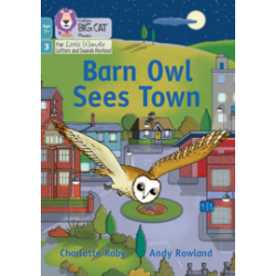9780008551759 Barn Owl Sees Town | Little Wandle Letters and Sounds Age 7+ Revised