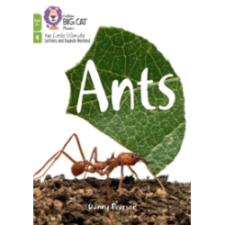 9780008551889 Ants | Little Wandle Letters and Sounds Age 7+ Revised