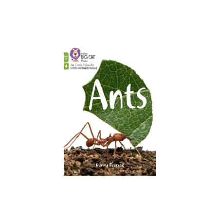 9780008551889 Ants | Little Wandle Letters and Sounds Age 7+ Revised
