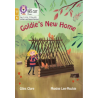9780008551995 Goldie’s New Home | Little Wandle Letters and Sounds Age 7+ Revised