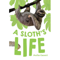 9780008681173 A Sloth’s Life | Little Wandle Fluency