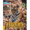 9781108436137 Tigers of Ranthambore | Cambridge Reading Adventures
