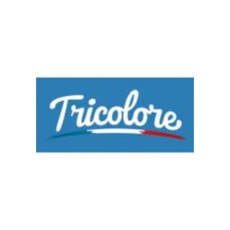 9781382045353 Tricolore 6e édition Workbook 4 Grammar in Action (pack of 8)